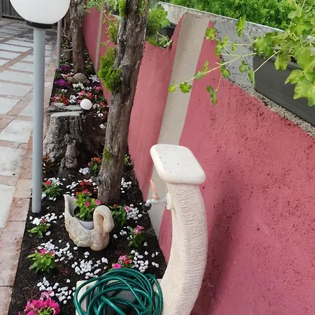 Gasthof Besarooms Santa Maria Del Cedro